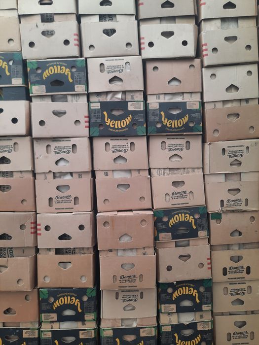 Cutii noi de banane fără capac