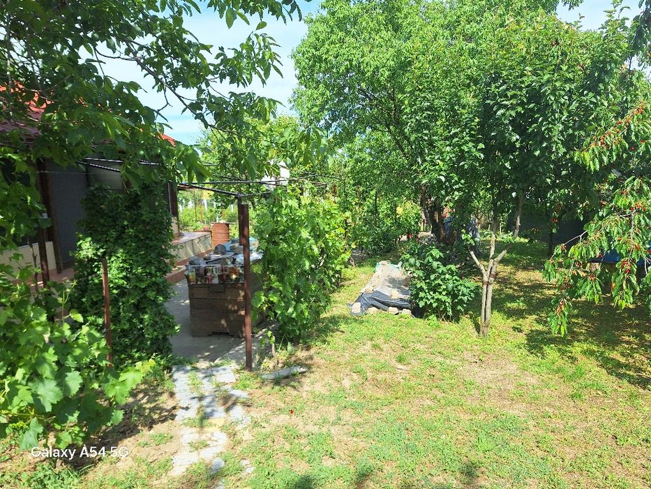 Teren de vânzare 1000  m², intravilan ,la stradă asfaltată cu căsuță de vacanță, în Mihail Kogălniceanu , com. Smârdan