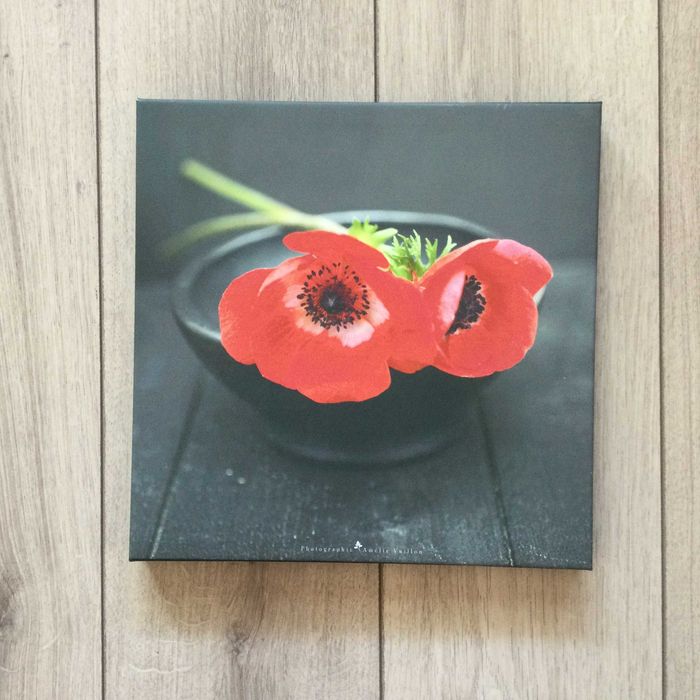 НОВА картина / репродукция / пано на цвете мак 30 х 30 см