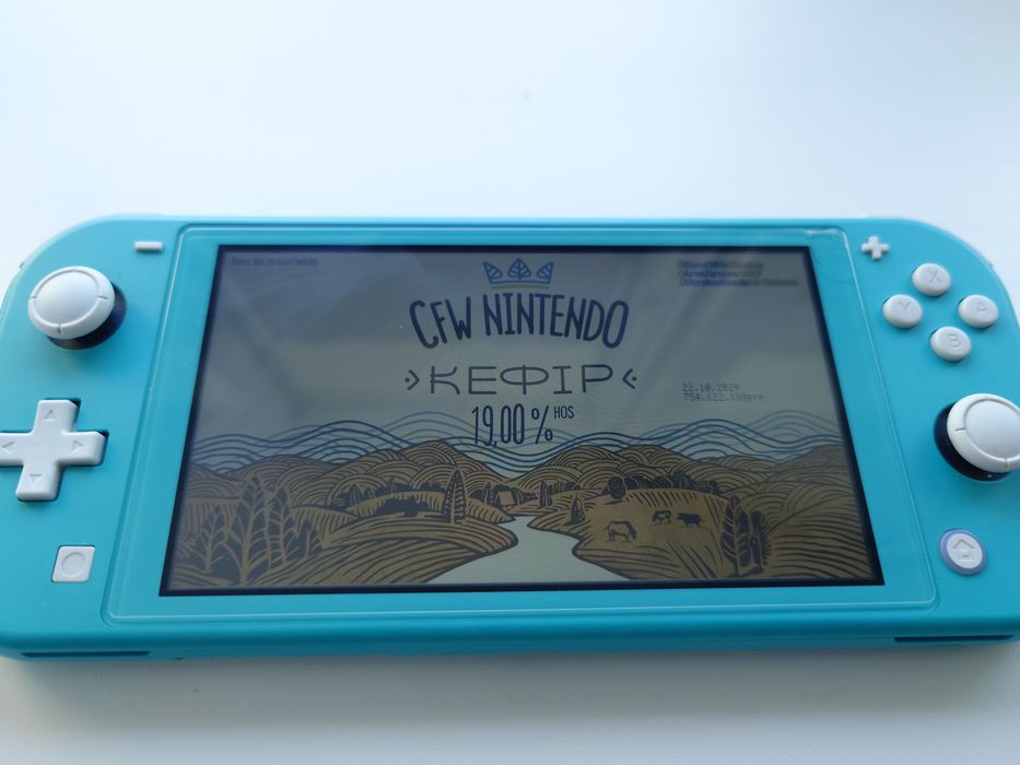 Nintendo Switch Lite прошитый