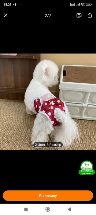 Падгузник трусики для собак!