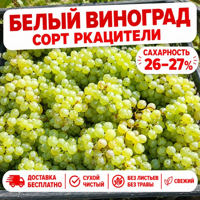 Виноград на вино в ящиках