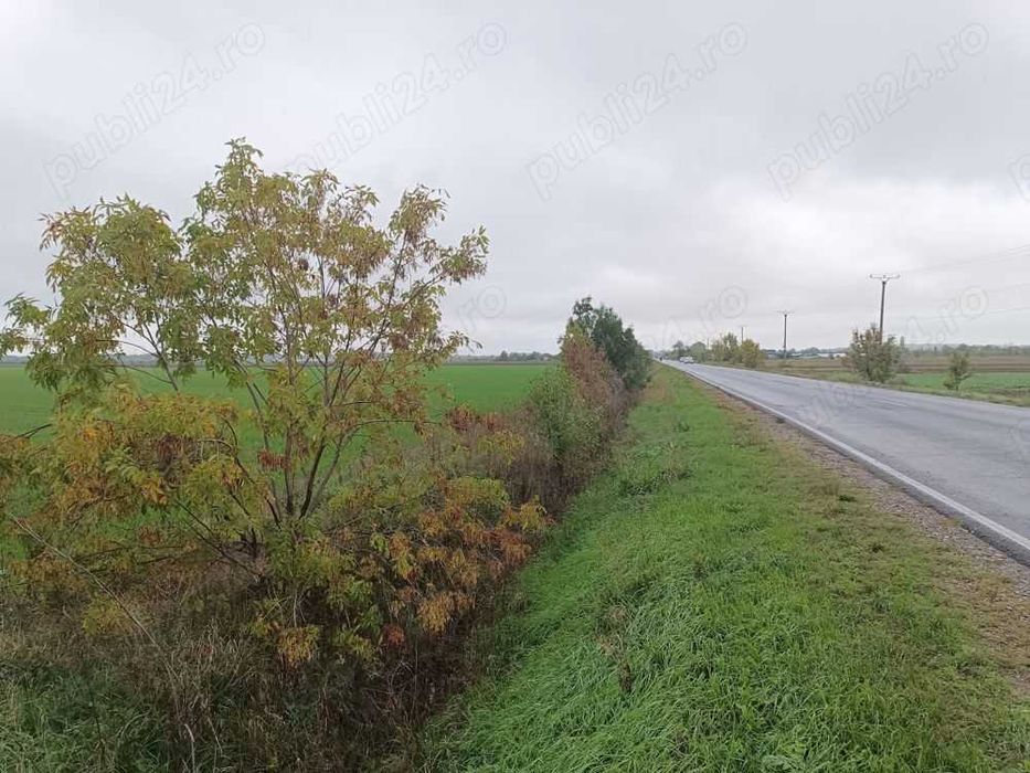 TEREN de Vanzare