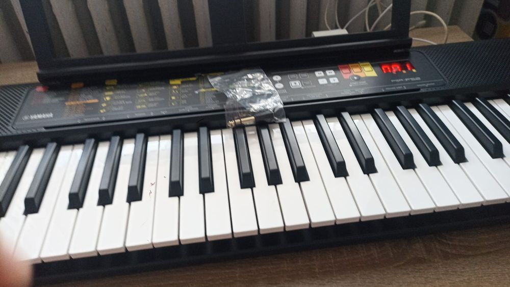 Cursuri de pian și orga, înregistrare melodii, Negative