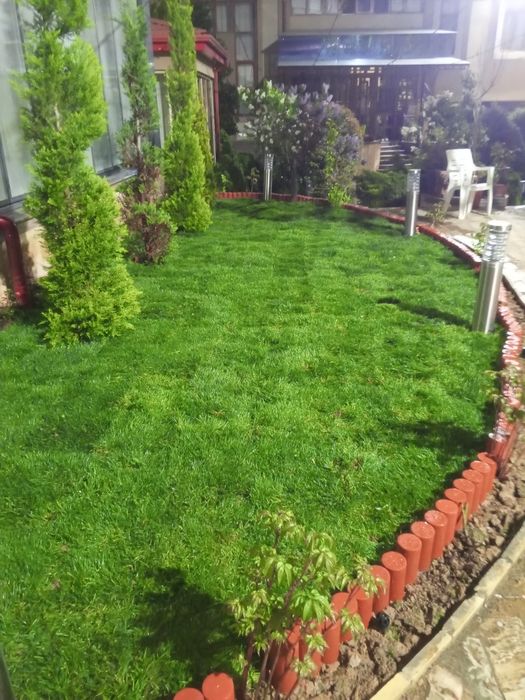 Gazon urugʼi va tayyor roloni bor ustanovka ham qilamiz