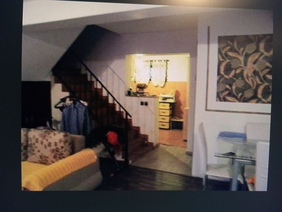 Inchiriez casa Pantelimon