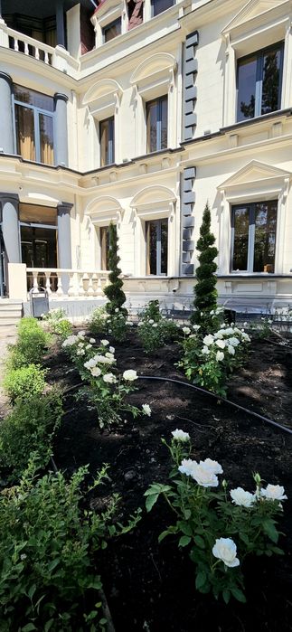 Ландшафтный дизайн