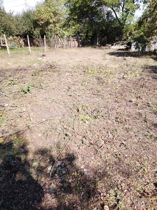 От 1лв на кв.м разчиства буренясали вили