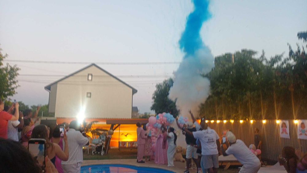 Decor gender reveal Arcada baloane baby shower Artificii de zi