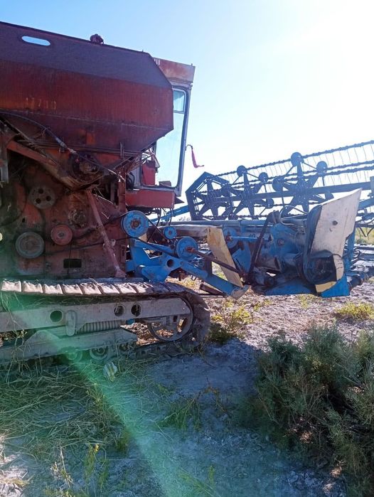 Енесей жатка гусинечный