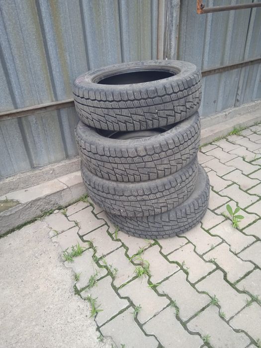 Шины зимние кардиант