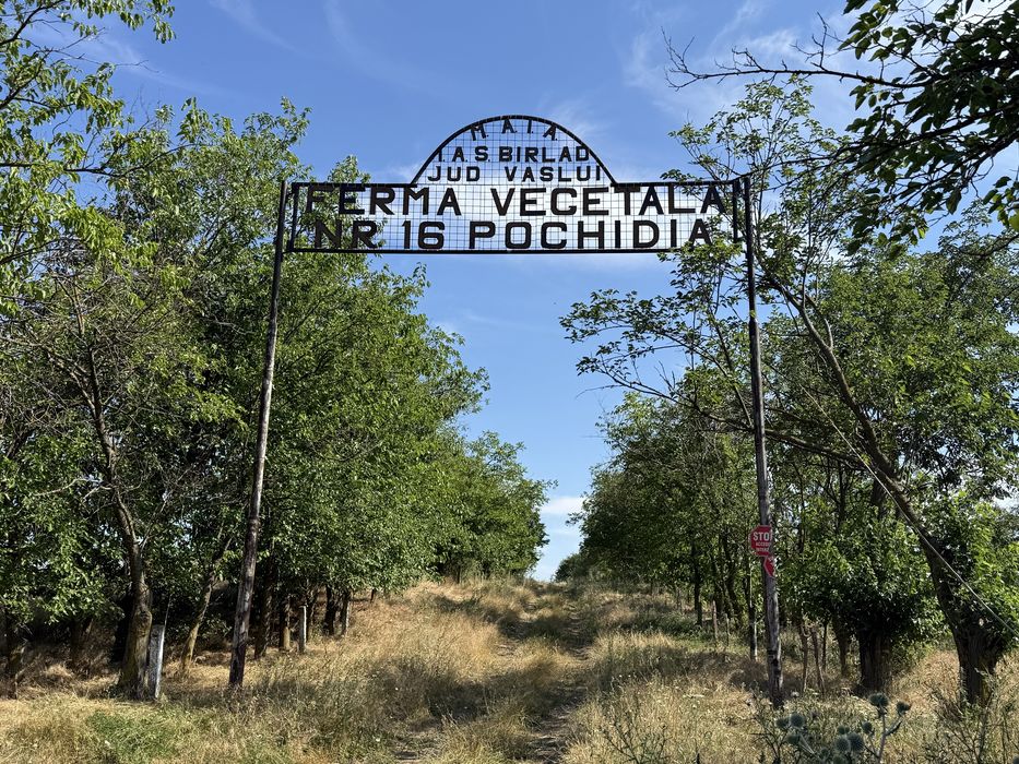 Ferma de vanzare