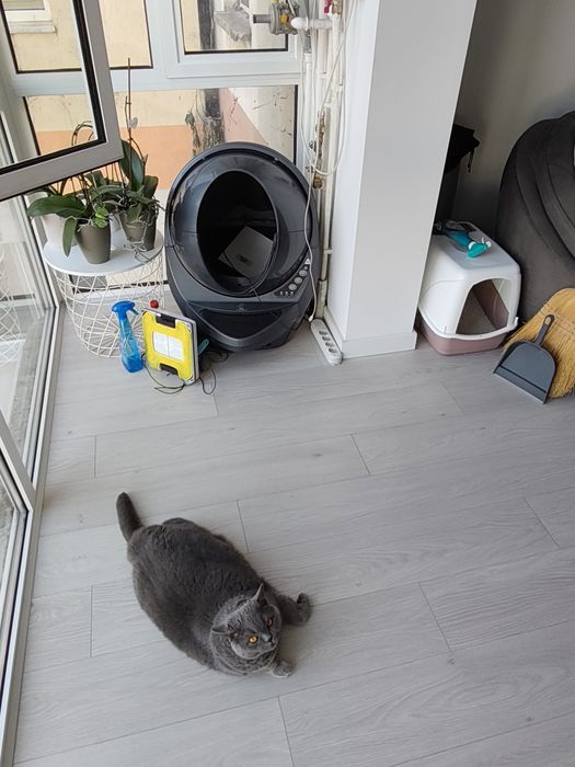 Super Oferta Litiera Litter-Robot 3 Open Air