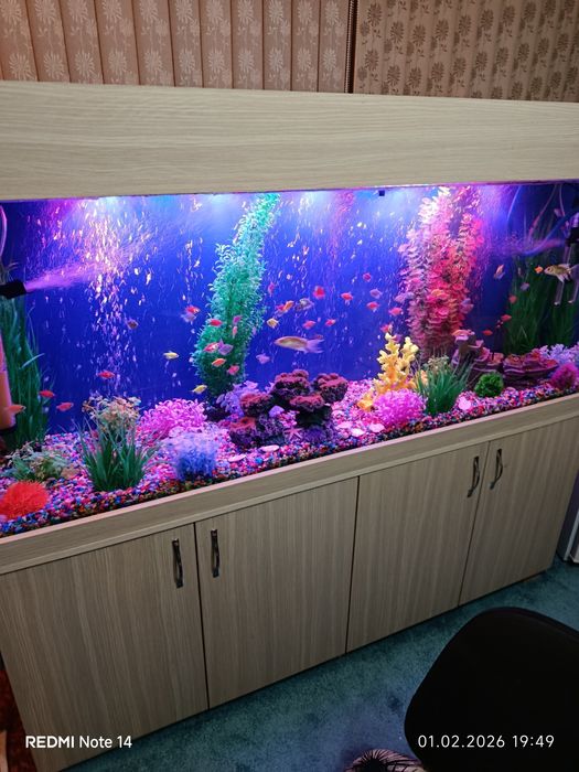 Аквариум 430 литров готовый