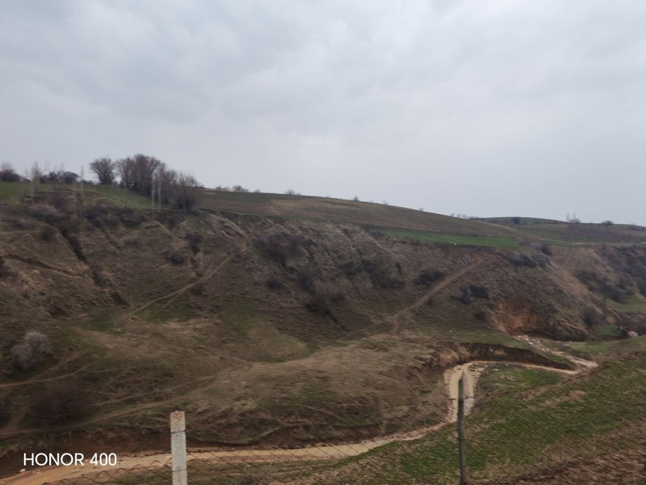 Bo'stonliq tumanidan mol chorvachiligi uchun mol xona yer sotiladi