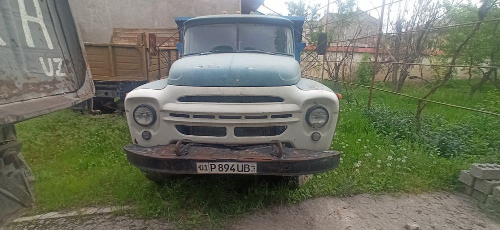 1981 yil zil zamasavol