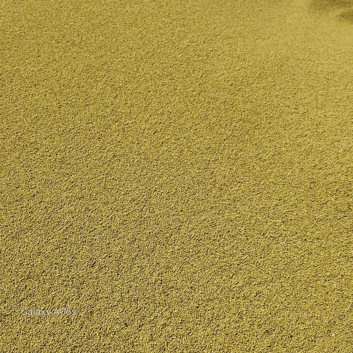 Семена люцерны !