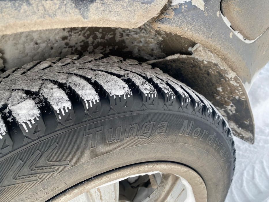 Продам аудюху живую