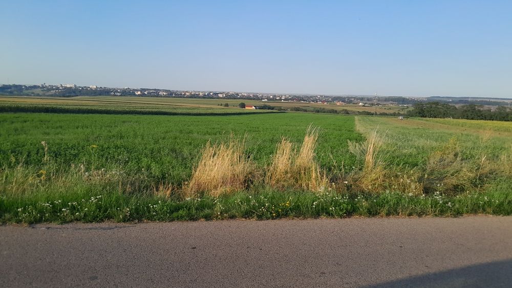 Teren de vanzare CURTESTI