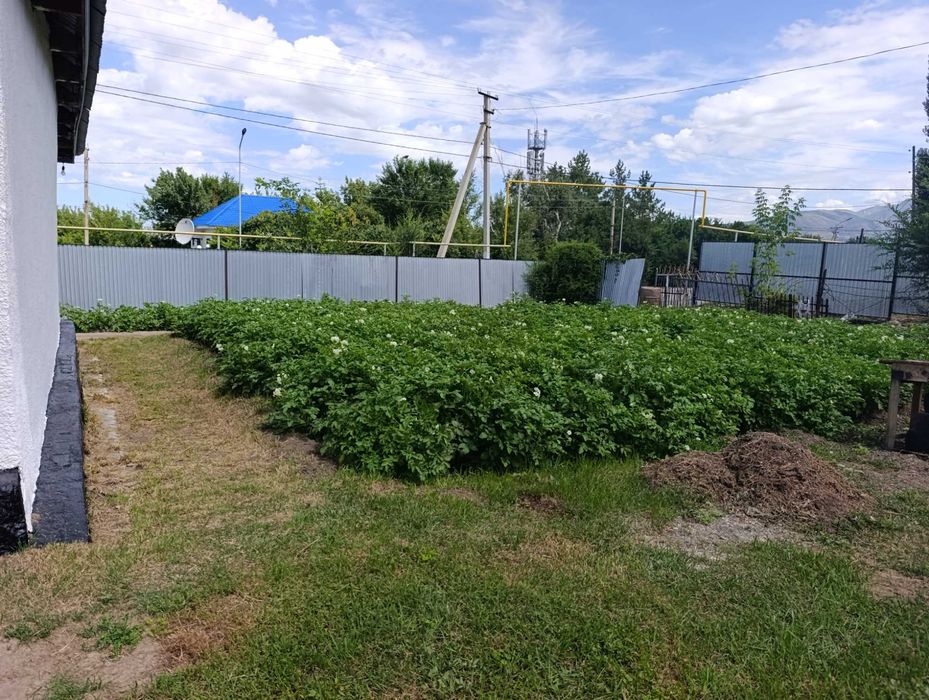 Продается дом в село Сырымбет