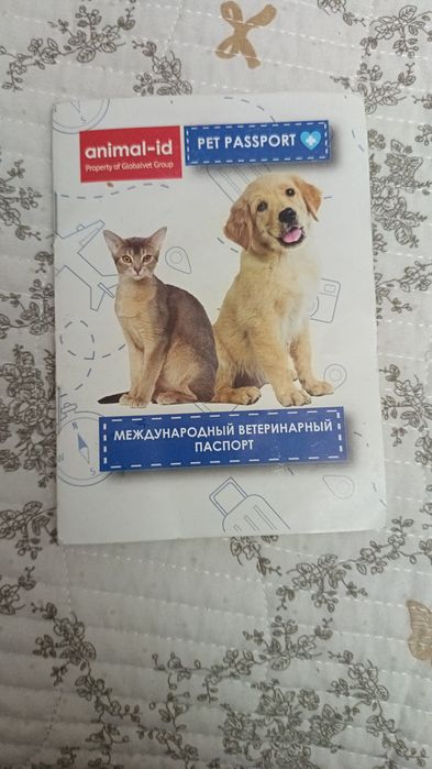 Продам собаку девочка