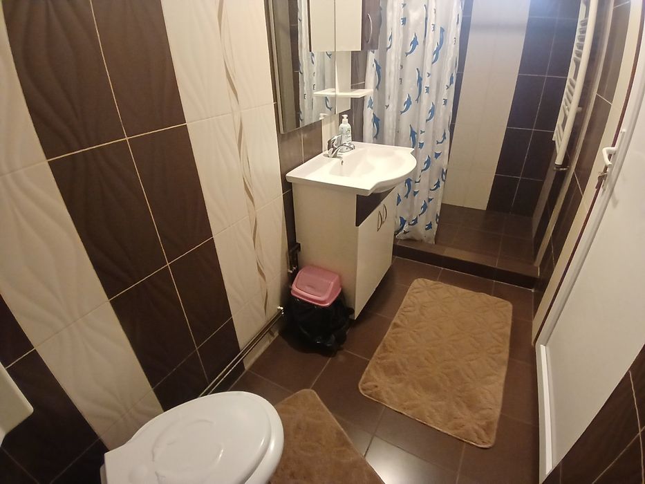 Cabana Robert Arieseni