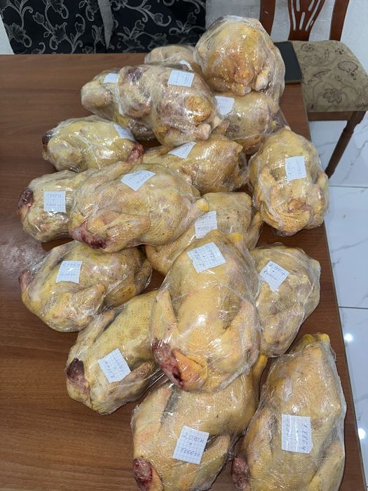 Бройлер  цыплята