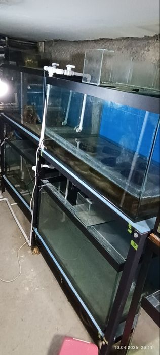 Akvarium sotiladi 250litr soni 4 ta tayor biznes qsayam boladi