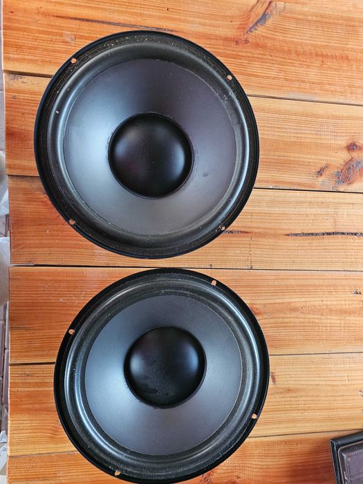 2 difuzoare Visaton WSP 26 S 25 cm (10")