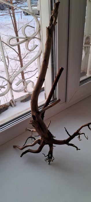 Коряга для аквариума