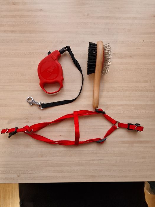 Комплект каишка и гребен за котки и кучета