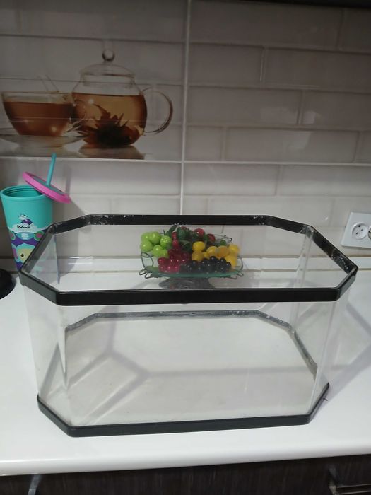 Аквариум для улиток