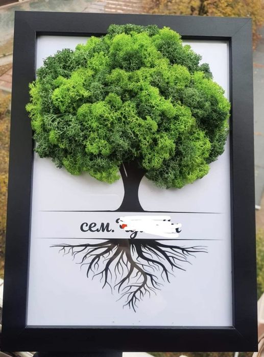 Картини със скандинавски мъх