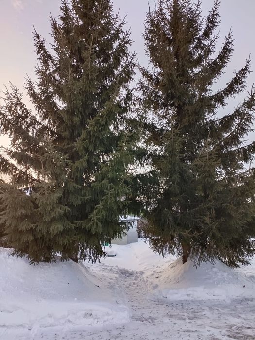 Продам дачу в с/о "Полет"