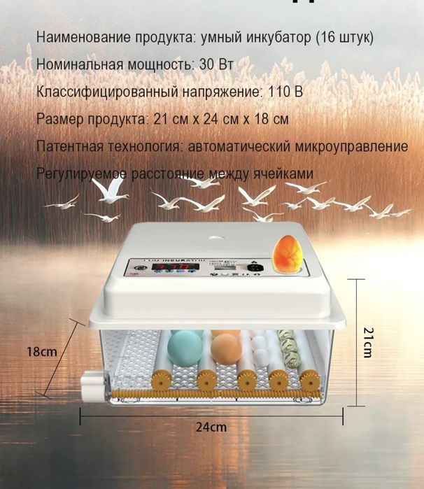 Inkubator sotiladi 16 talik