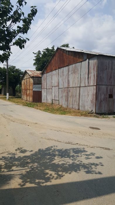 Hale Ciacova Depozitare