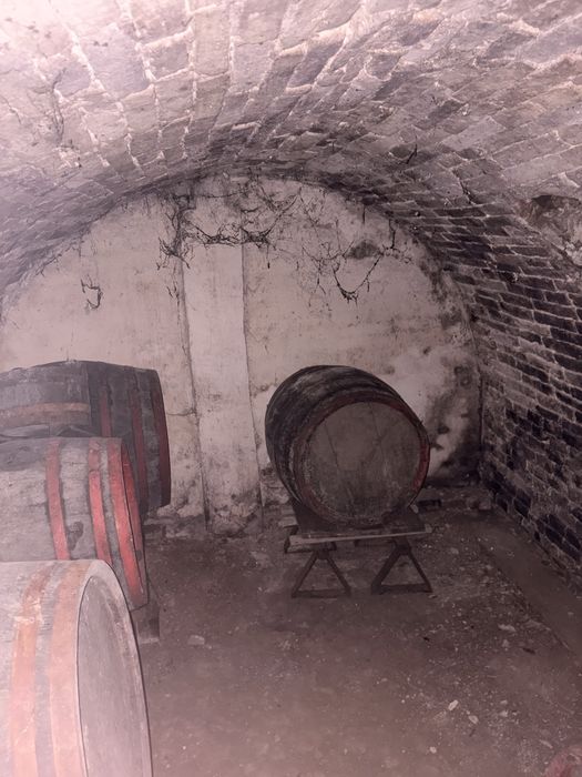 Proprietate de vanzare in Carei