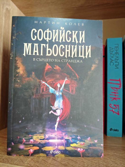 Книги художествена литература