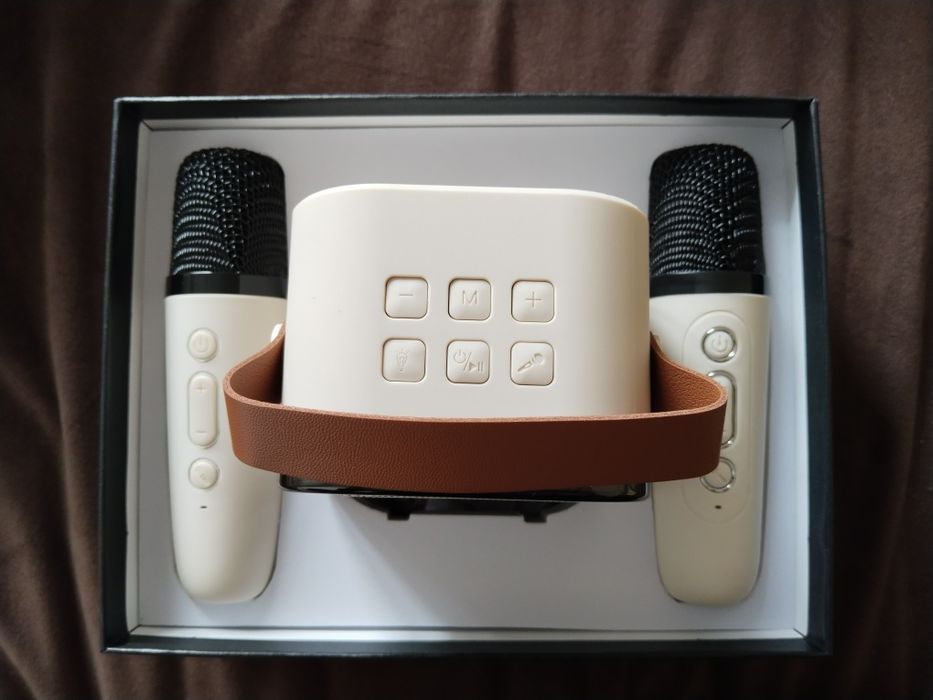 Портативный домашний караоке