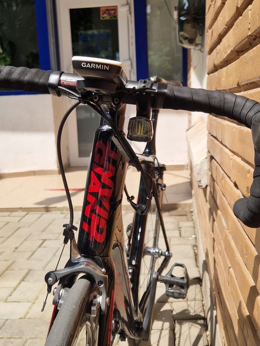 Giant Tcr Carbon