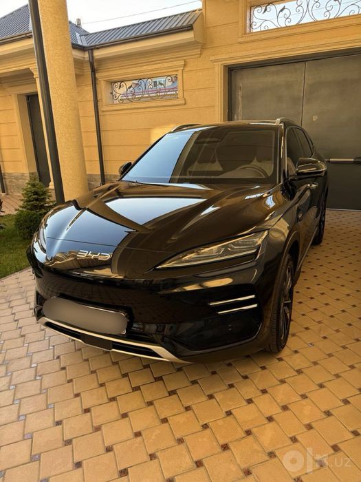 Byd smart chempion 2025 tozza