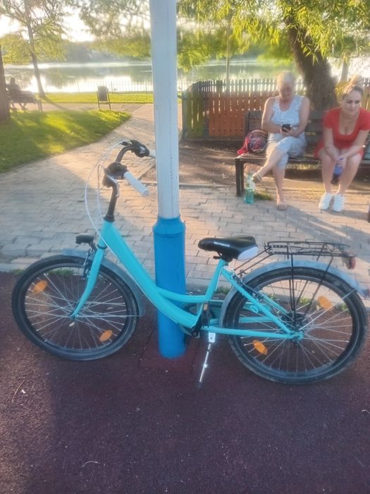Bicicleta 500 lei