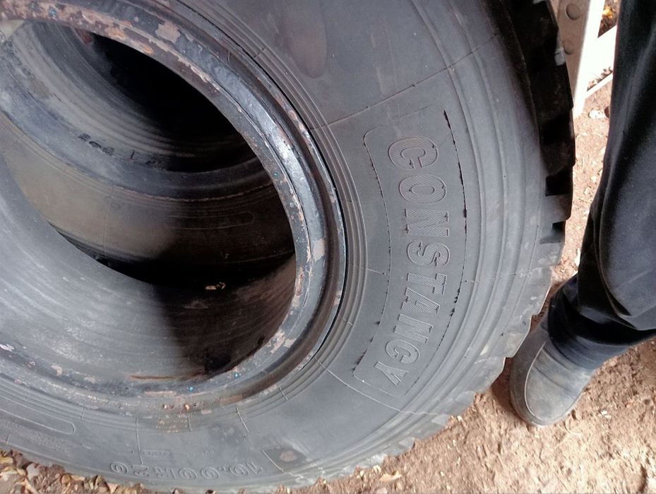 Продам болоны змейка