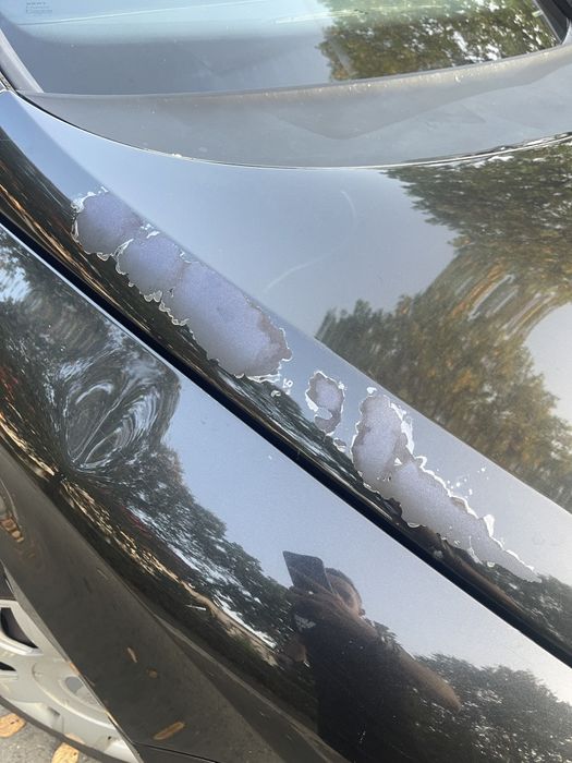 Seat Leon 1.6 benzina + gaz