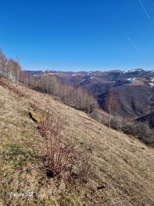 Vand teren Mărișel.