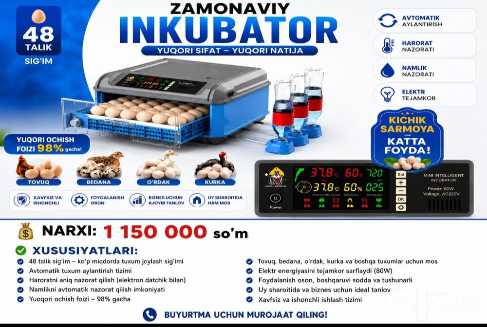 Inkubator 48 talik