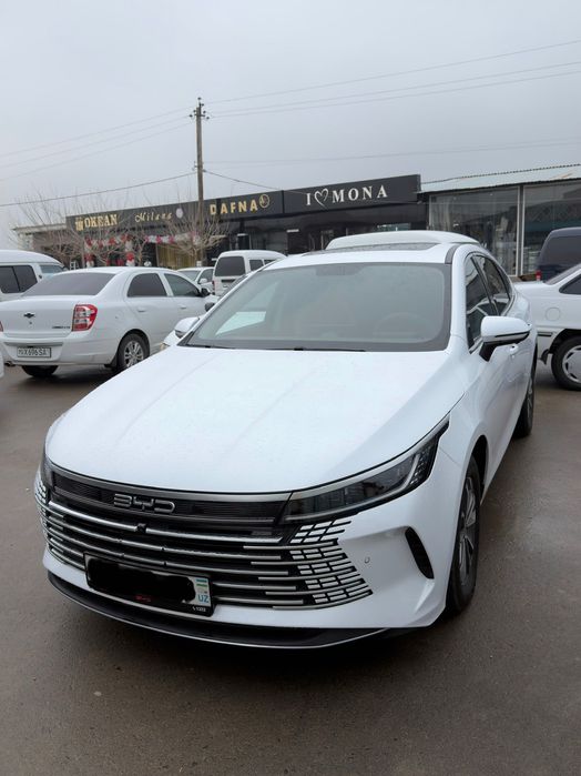 Byd Chazor Luxe pozitsya srochna