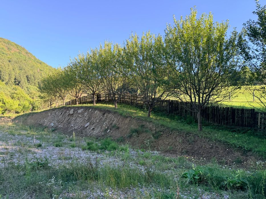 Teren intravilan panoramic, 2.796 mp, Sub Cetate, Harghita