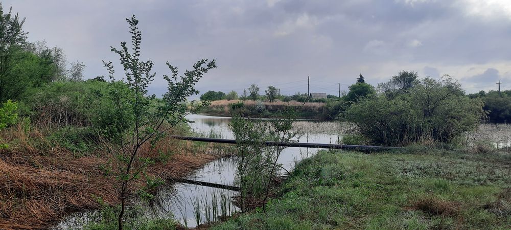 Продаю дачу в ПК Алма