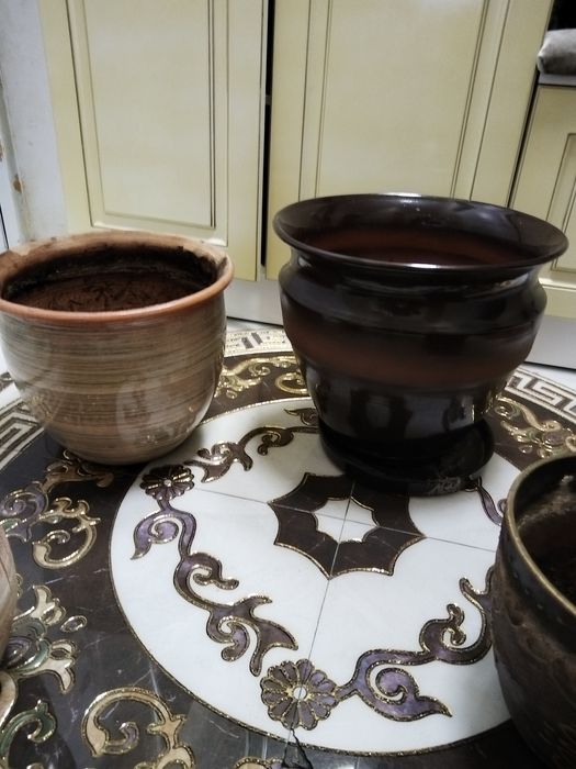 Все горшки за 5000!